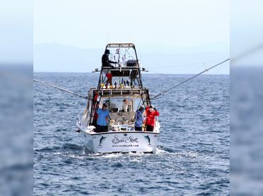 Sea Star CR – 31' Big Eye