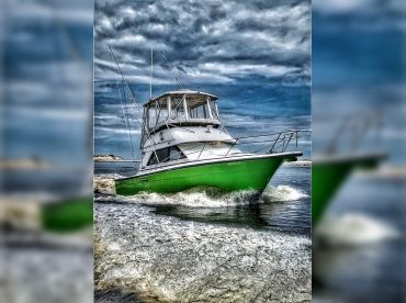 Fillet And Release Fishing Charters thumbnail