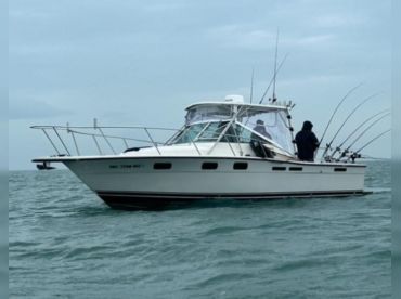 Chunky Monkey Charters – Saginaw Bay Walleye thumbnail