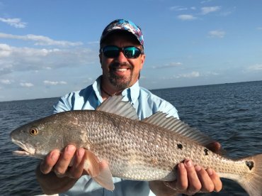 Finntastick Charters thumbnail