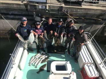 Nautilus Excursions thumbnail