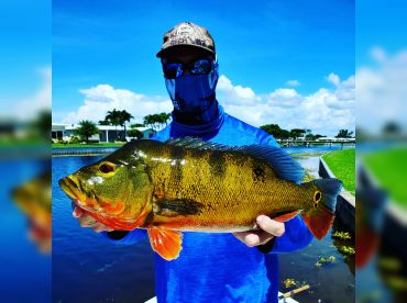 Operationtek thumbnail