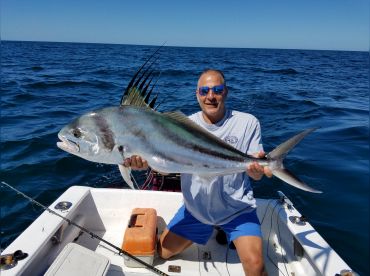 Longline Flamingo C.R. thumbnail