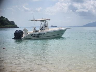 Blue Lobster thumbnail