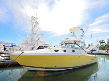 Split Decision II – Luxurious 38' thumbnail