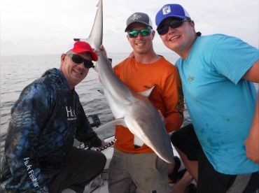 Shark Infested Charters LLC thumbnail