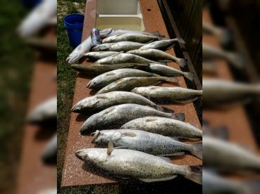 Chasing Dots LLC thumbnail