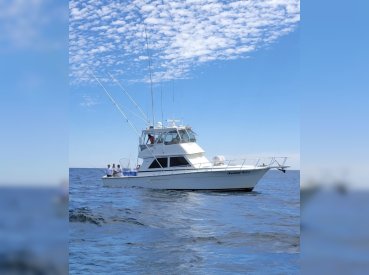 Gone Fishin’ Sport Fishing Charters