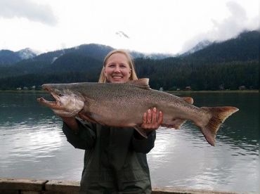 Alaskan Salmon (No Halibut)