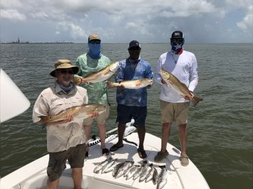 Frenzy Guide Service thumbnail