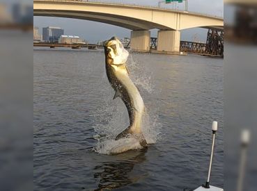 Blue Cyclone Inland Fishing Adventures thumbnail