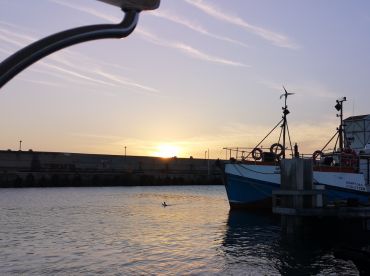 Delarey Charters thumbnail