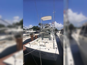 Reel Floridian Fishing thumbnail