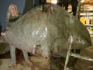 Magic Bowfishing thumbnail