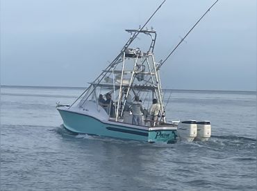 Johnny Maddox Charters “PapaPapa” thumbnail