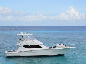 Javichos Tours – 50' Hatteras thumbnail