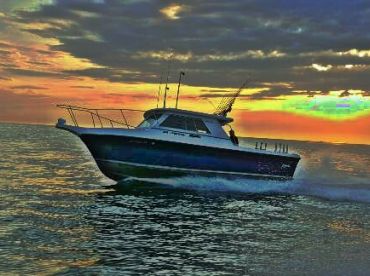 Reel Thrill Sportfishing Charters thumbnail
