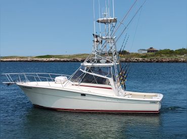 Tailwrapped Sportfishing Charters thumbnail