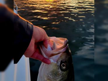 Logos Guide Service thumbnail