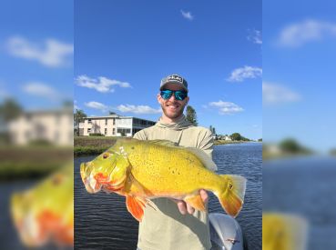 Jurassic Park Fishing Charters thumbnail