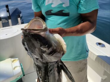 Johnny Quest Sport Fishing – 24' thumbnail