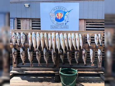 Apex Fishing Guide Service thumbnail