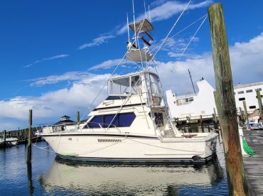 On The Run Sportfishing