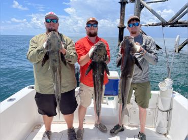 Olivia J Charters – Vertigo