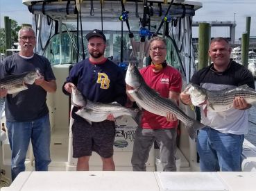 Chasin' Tail Sportfishing Charters thumbnail