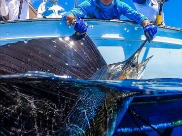 Curate Fishing Charters thumbnail