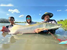 e6e916678dbfbc7cb41323990dc876