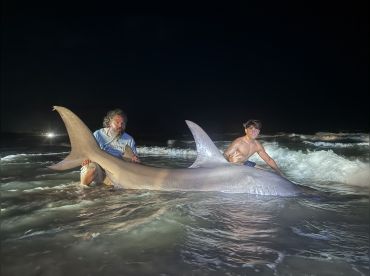 Just Doin It Shark Fishing thumbnail