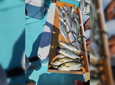 Misty Blue Charters thumbnail