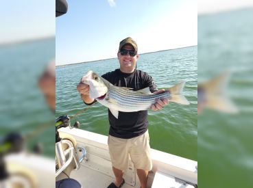 Starstriper thumbnail