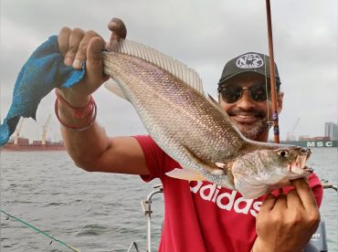 Hookline Fishing Charters