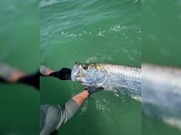 Beyond Fishing Charters – Tampa thumbnail