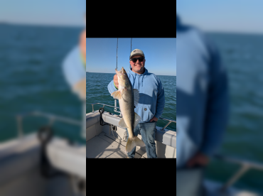 Fin-Addict thumbnail