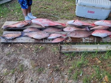 Bottomed Out Fishing Charters thumbnail