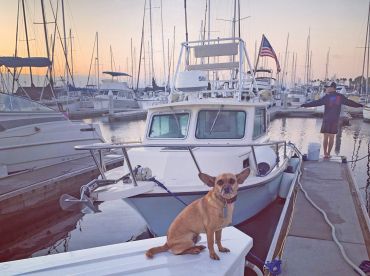 Diamond Dogs Charters thumbnail