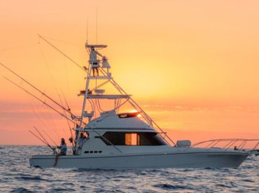 Bounty Hunter Cairns