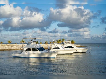 Fishing Machine Punta Cana thumbnail