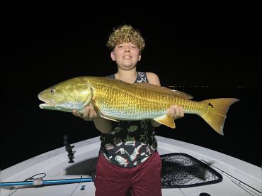 Addicted to Scales and Tail thumbnail