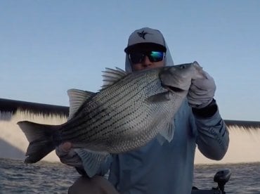 The Black Warrior River