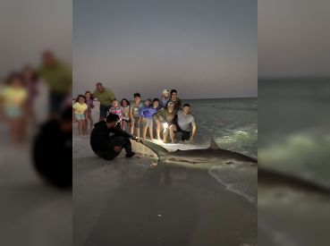 Shark Fishing with Tom thumbnail