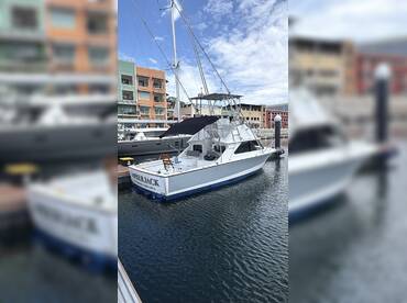 Amberjack by Amberjack Sportfishing thumbnail