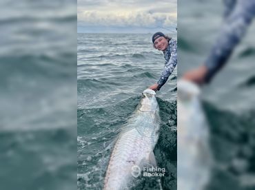 Tarpon Hooker thumbnail