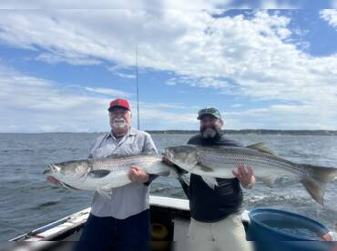 Sara G Charters thumbnail