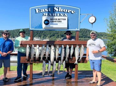 Never Better Charters thumbnail