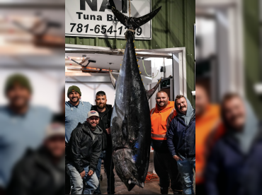 Alibi Charter Company thumbnail