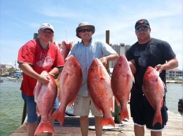 Paradise Fishing Charters thumbnail